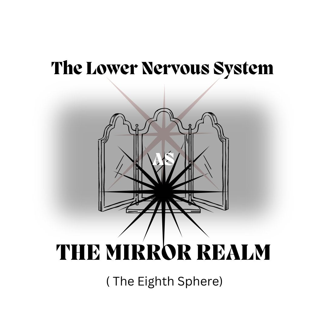The Lower Nervous System As The Mirror Realm